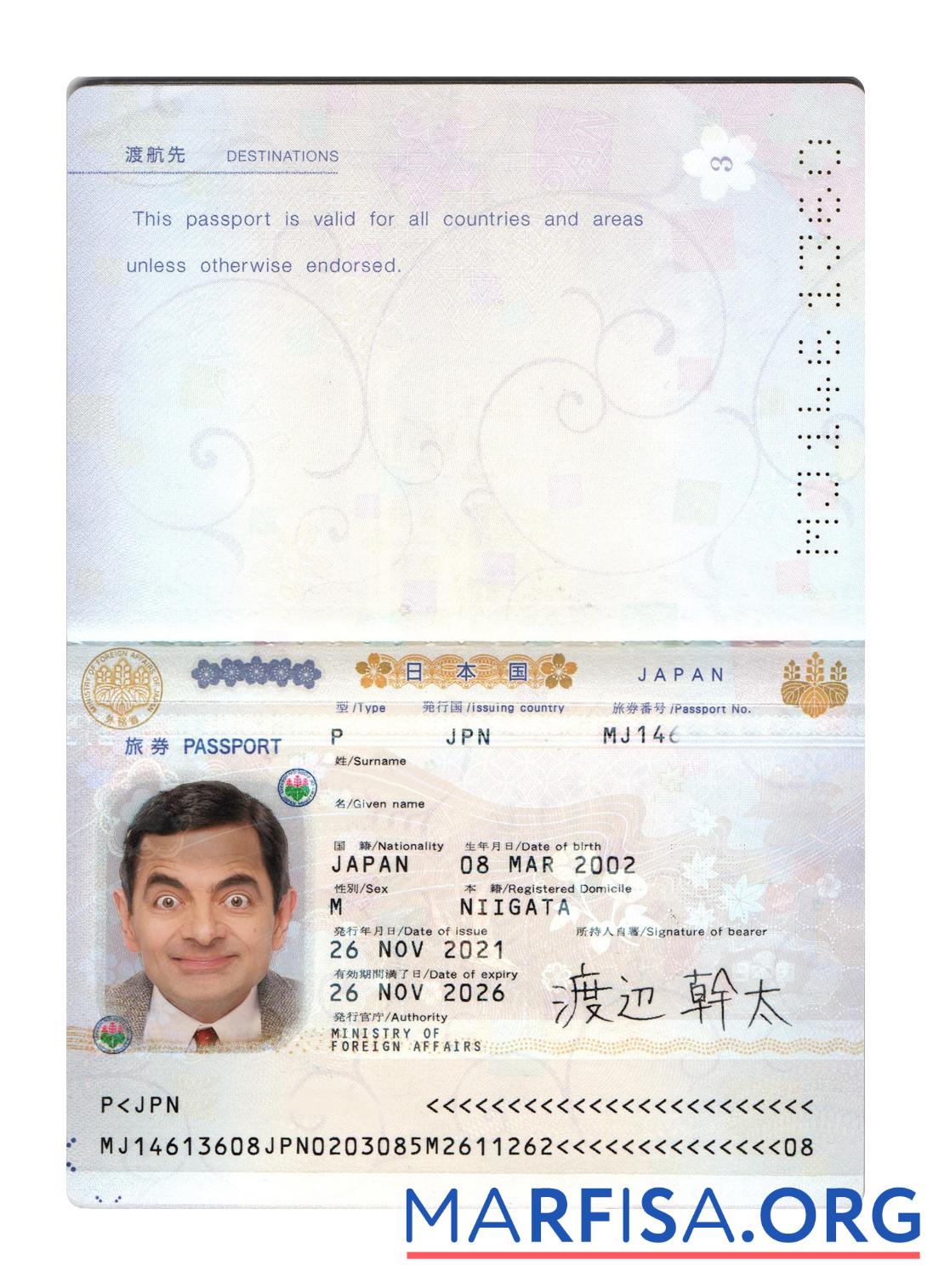 Printable Japan passport 2021 present sample